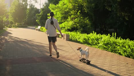 woman walking her dog on a skateboard in a park