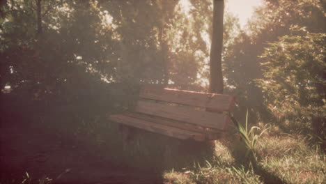 wooden park bench in a misty forest