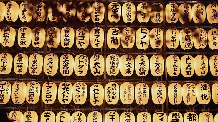 File di lanterne tradizionali chochin illuminate brillano di notte durante un festival a Tokyo
