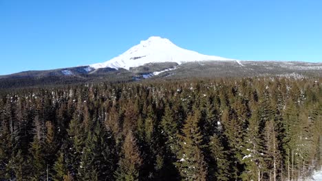 a drone flies towards a snowy mountain over a green forest