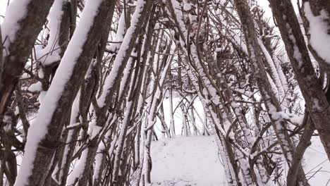 Schneetag-In-Meinem-Heimatdorf