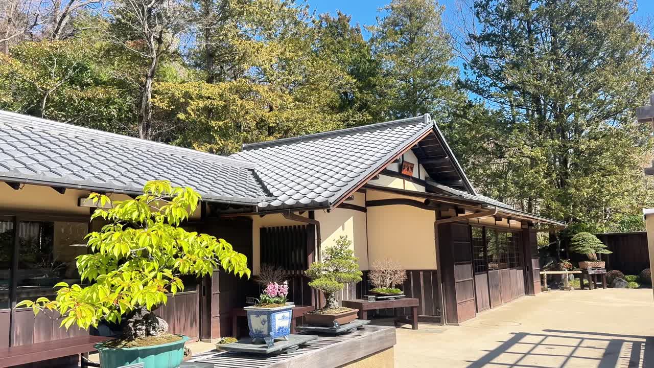Traditionel japansk have med bonsai og fredfyldt hus på en solrig dag
