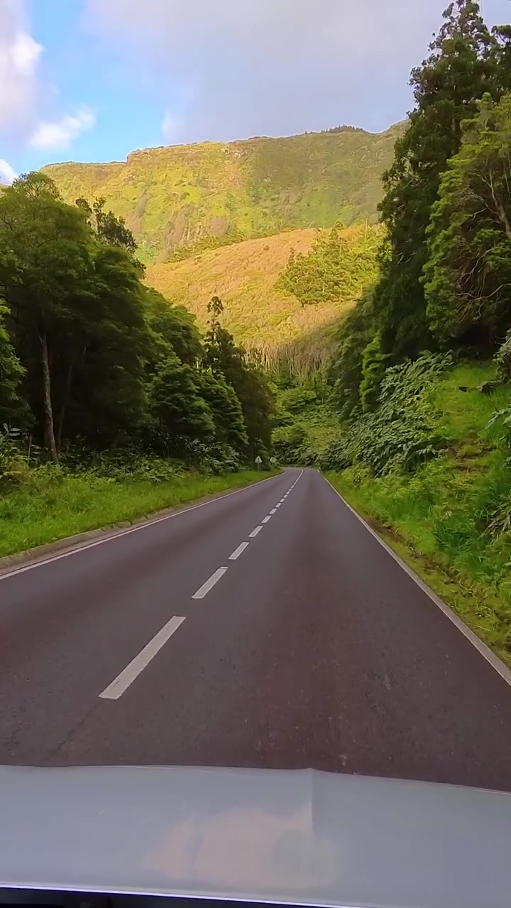 Viaggio panoramico verticale dal punto di vista dell'auto lungo una strada tranquilla circondata da una fitta foresta e montagne illuminate dal sole sull'isola di Flores, Azzorre, Portogallo.
