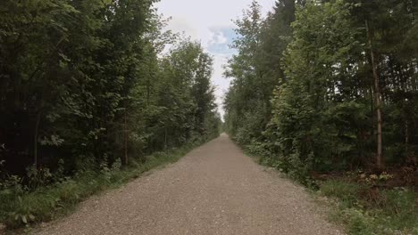 Bicycle-drive-through-a-green-forest-with-high-trees-and-cloudy,-blue-sky