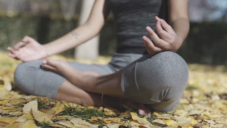 Connecting-to-god-meditating-spiritually-in-autumn-season