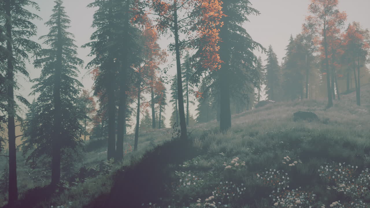 프랑스 알프스 산맥 의 꼭대기