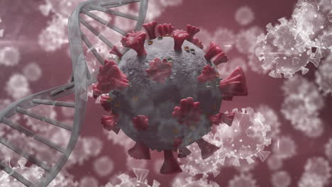 animation of macro coronavirus covid-19 cells spreading over dna