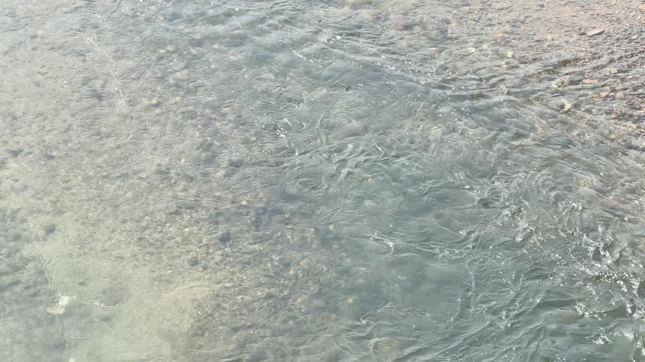 Acqua trasparente del fiume scorre su un letto roccioso sotto la luminosa luce naturale del giorno a Kyoto.
