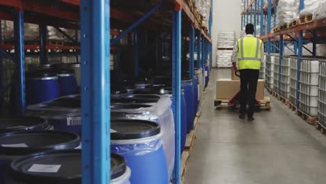 animation of connected globe and graph icon, rear view of biracial man pushing boxes on pallet jack