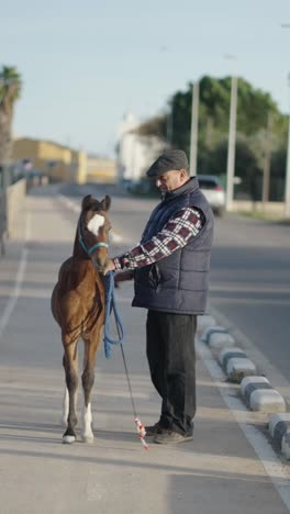 a man holds a young foal by a leash on a street