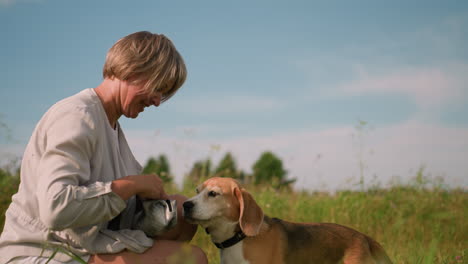 animal caretaker feeding dog in vast grassy field on sunny day while squatting, sharing affectionate moment with dog gazing lovingly with tongue out, environment filled with greenery and sunlight