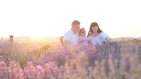 a beautiful young family with a child rests on a lavender field a beautiful young family with a child rests on a lavender field a happy family video