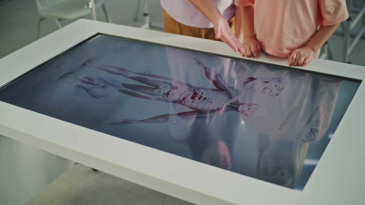 Children Learning Human Anatomy with Interactive Display