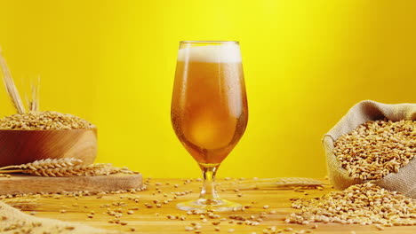glass of beer with barley and wheat