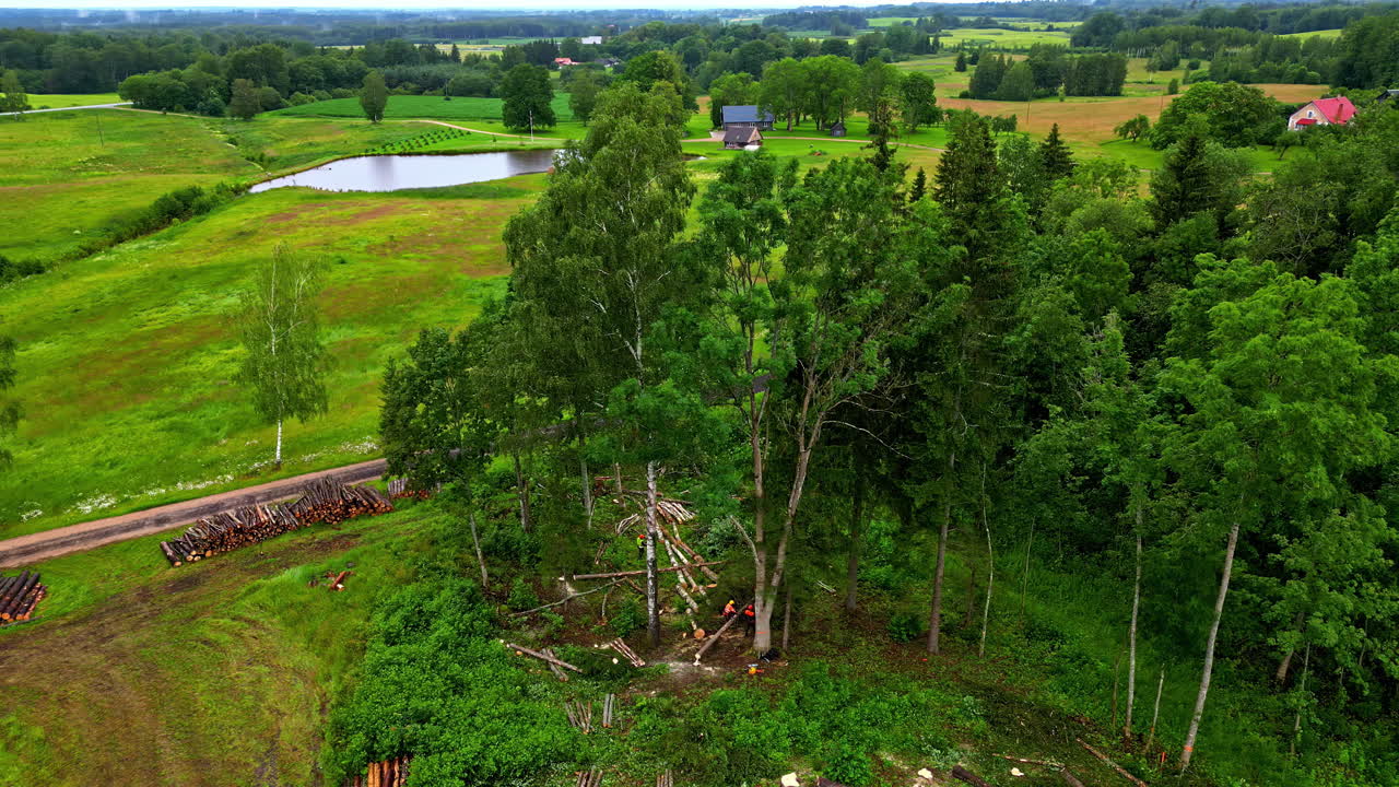 숲을 는, 나무 오두막을 건설하는 데 사용되는 나무 는 안테나