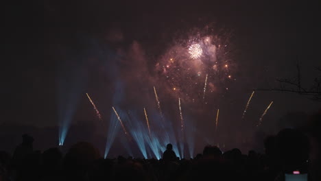 silhouettes watching fireworks light up the black holiday sky