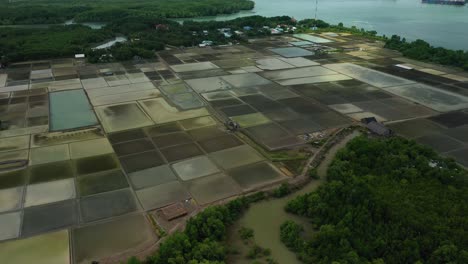 aerial panning wide view of can gio salt fields vietnam