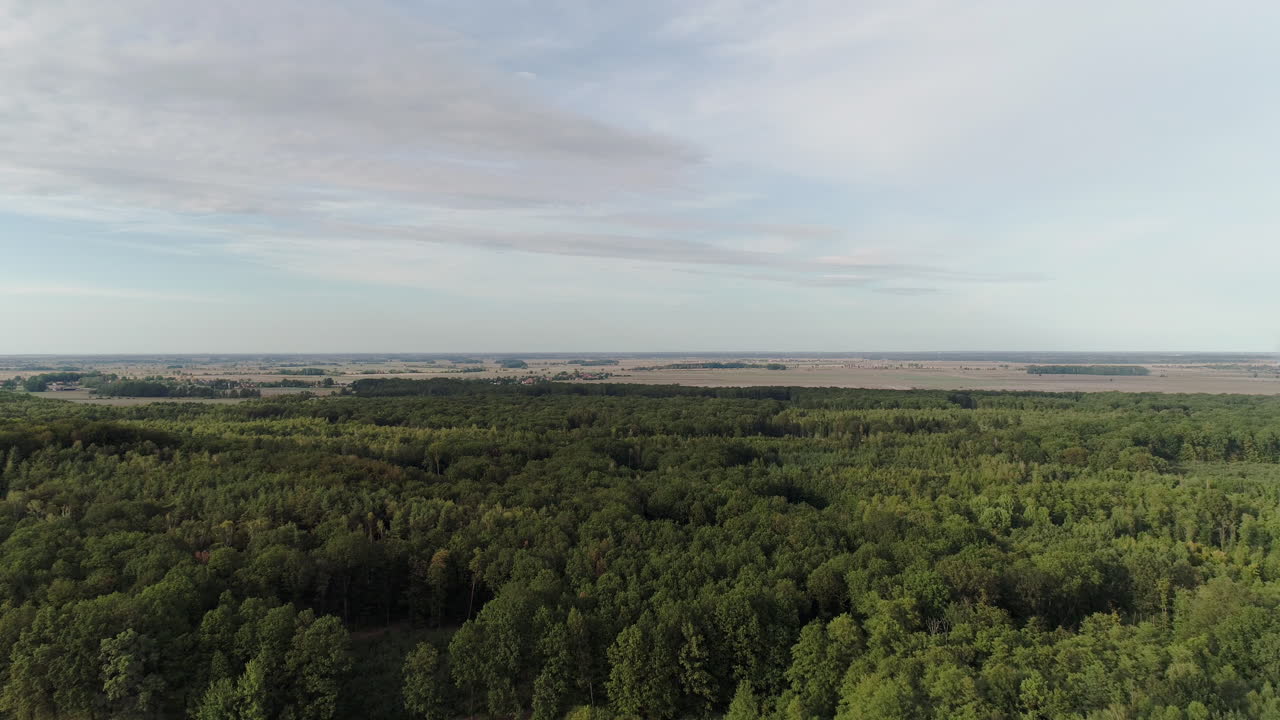 vista aérea de campos agrícolas y bosques 2