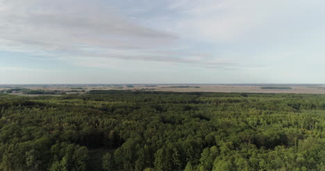 Aerial-View-Of-Agricultural-Fields-And-Forest-2