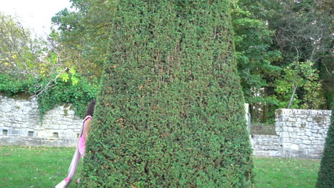 girl walking behind trees