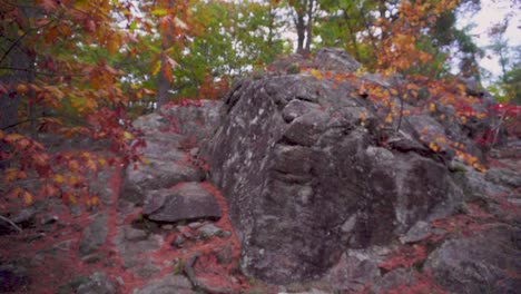 slow rising shot over 2 red rocks on the side of a walking trail in an autumn coloured forest