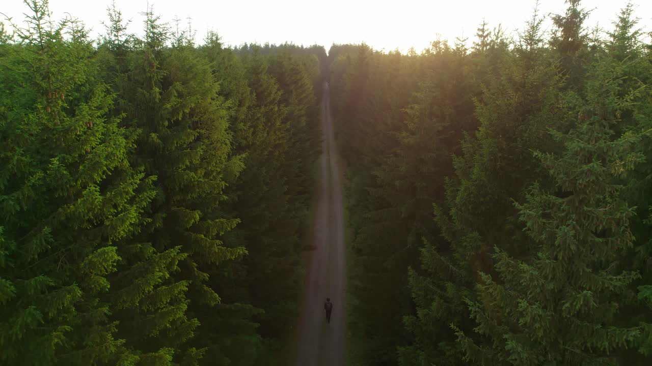 vista statica della strada diritta con il viaggiatore di passaggio verso il tramonto nella fitta foresta verde