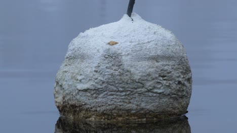 boya de amarre de espuma de poliestireno en el puerto de barcos durante un frío día de niebla - primer plano inclinado hacia abajo