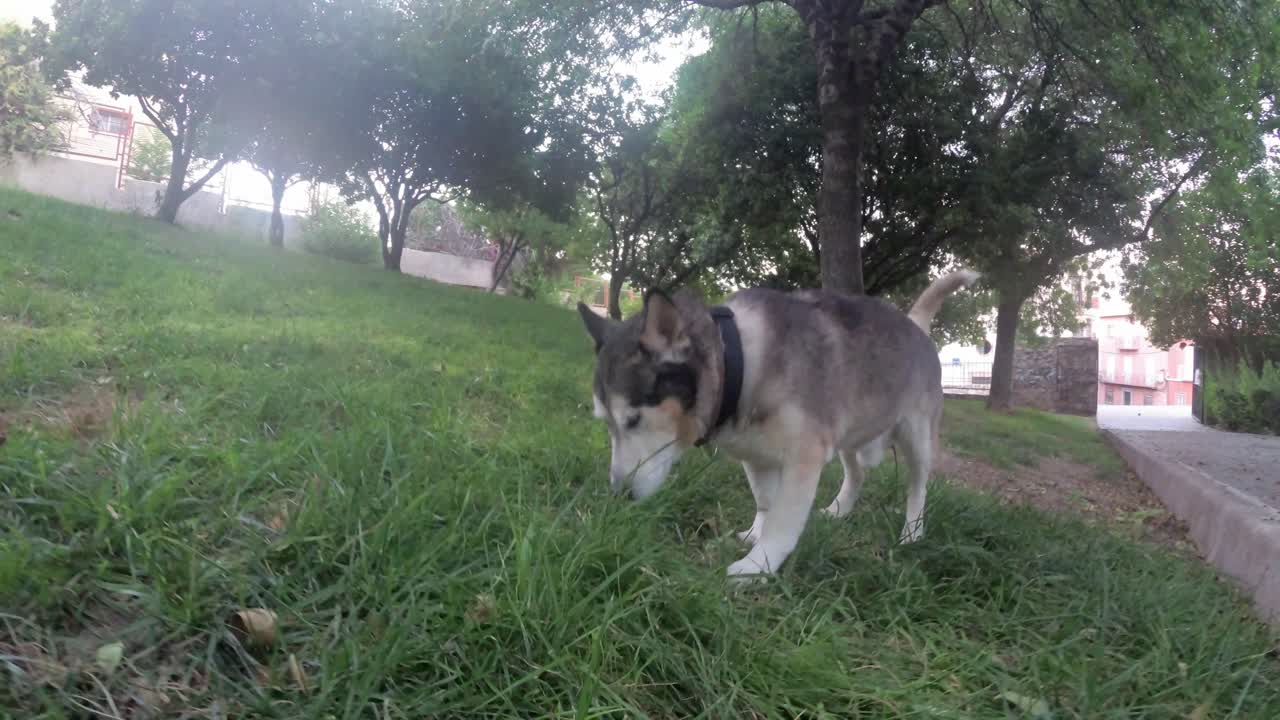 하엔 스페인 도심과 거리 4k 24fps에서 안달루시아 스페인의 이 오래된 도시에 대한 일부 전망