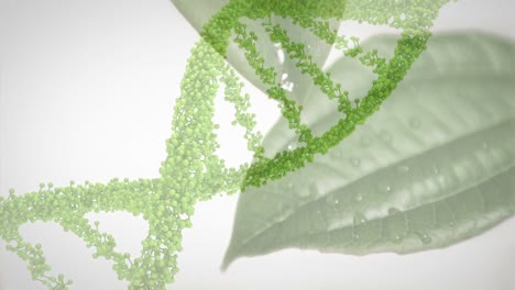 Animation-Eines-3D-grünen-DNA-Strangs,-Der-Sich-über-Blätter-Dreht