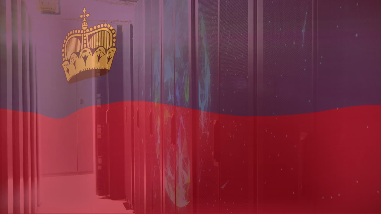 리히텐슈타인 발 애니메이션 데이터 처리 장비와 함께 서버