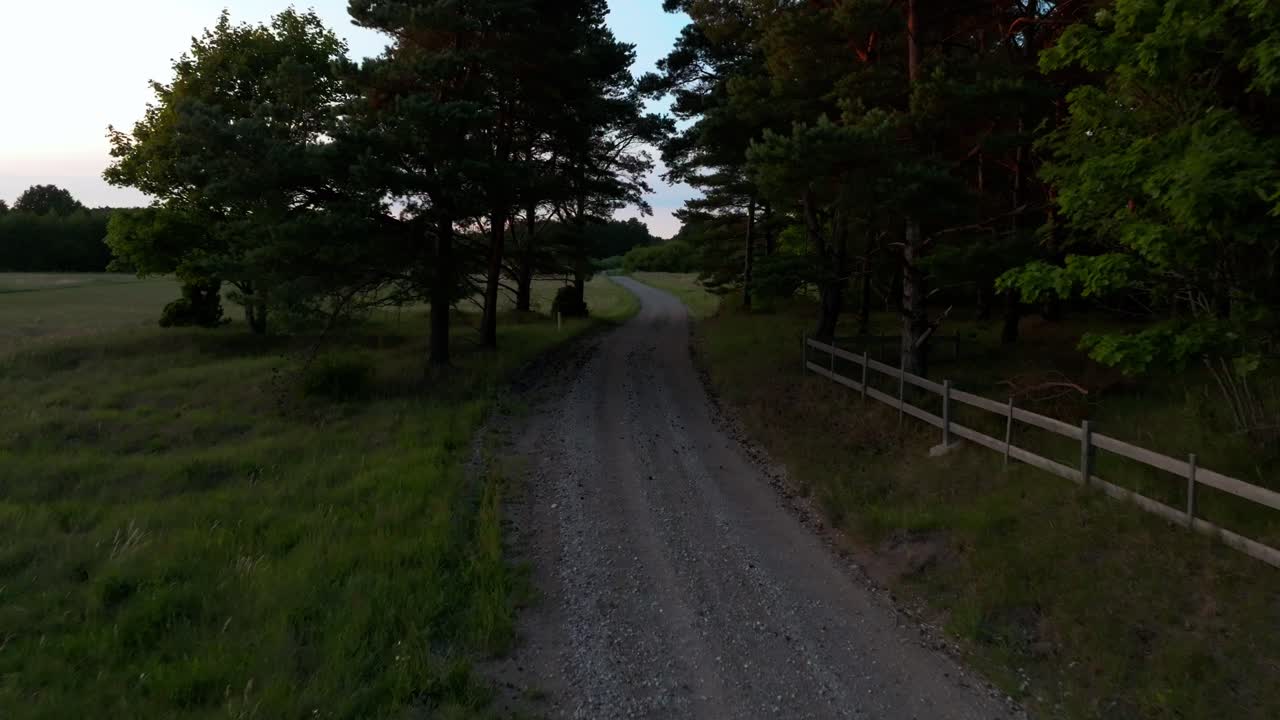 Flying through an opening in the trees above a gravel road sided by field