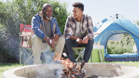 happy african american father and son toasting marshmallows over campfire, copy space, slow motion