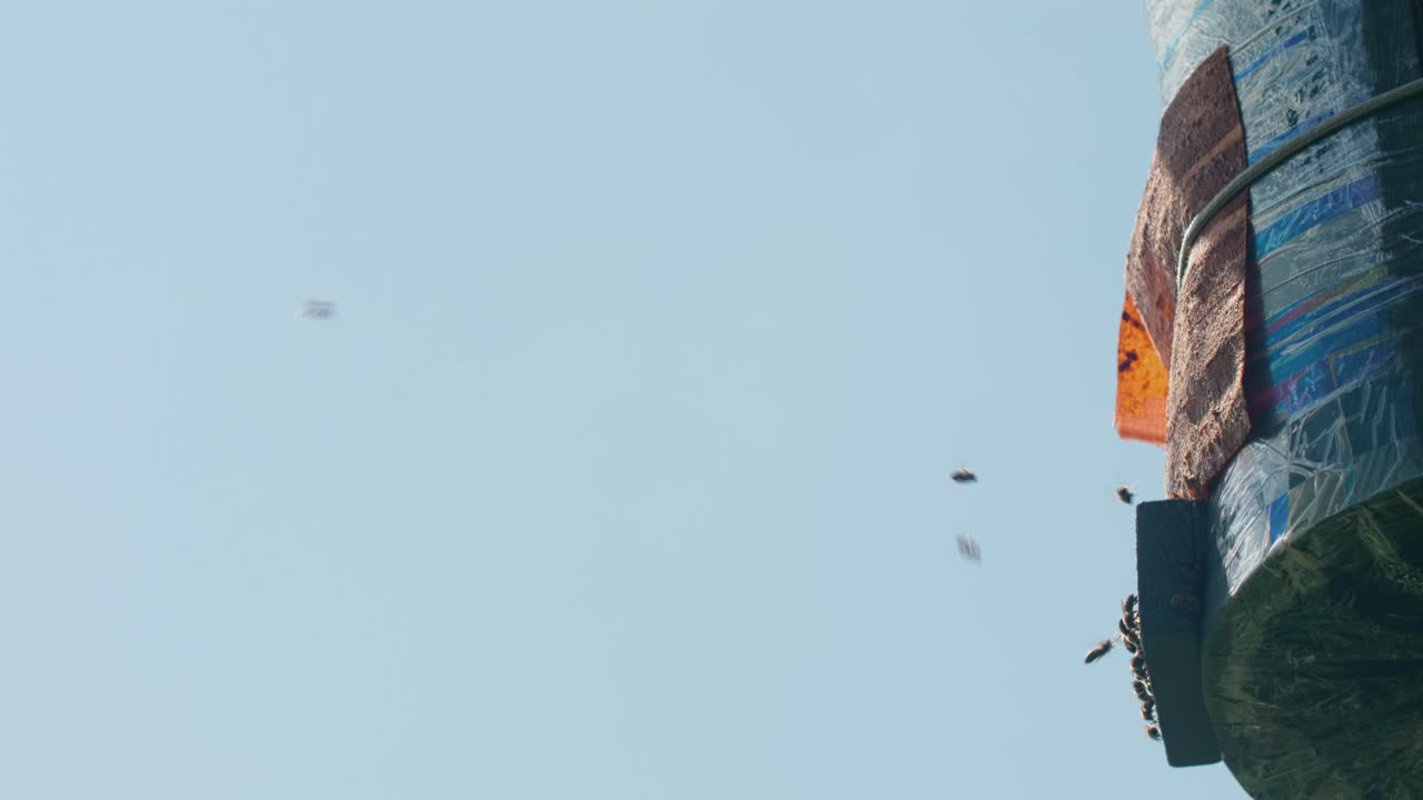 Bees flying around a structure