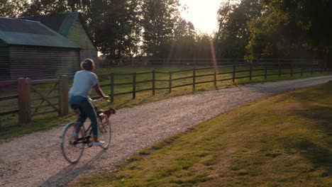 drone shot of woman with pet dog riding bike along country lane at sunset