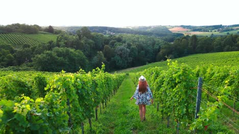 stunning drone footage of a white caucasian woman with a knitted hat in a dress walking through vineyards of jeruzalem and admiring the surroundings