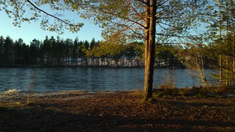 Dolly-Right-Along-River-in-Coniferous-Forest,-Rural,-Wilderness,-Aerial