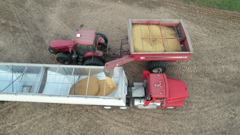 on a wisconsin farm field, a load of soybeans is transferred to an open trailer