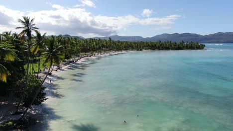 Un-Recorrido-Aéreo-Sobre-Una-Playa-Adornada-Con-Magníficos-Cocoteros