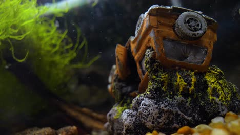 Decoración-De-Coche-Bajo-El-Agua-En-Acuario-De-Pecera