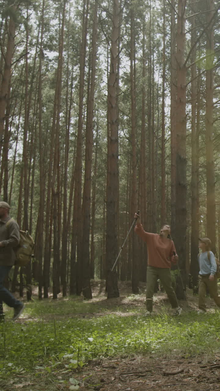 Group of people hiking through a forest
