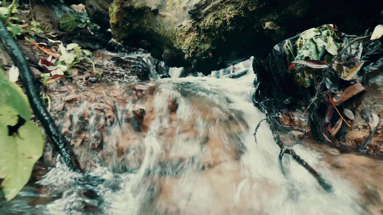 멍청이에게서 벗어나기