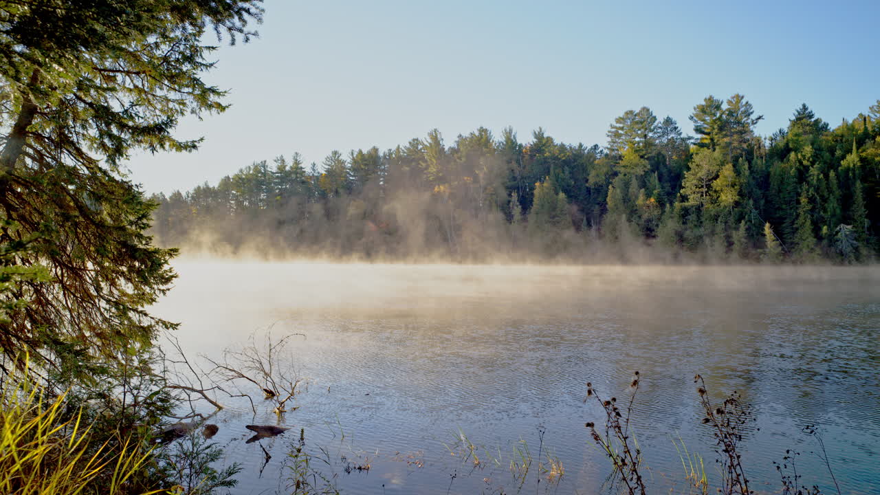 Cinematic mist-filled river landscape at sunrise