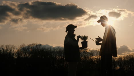 sunset consultation