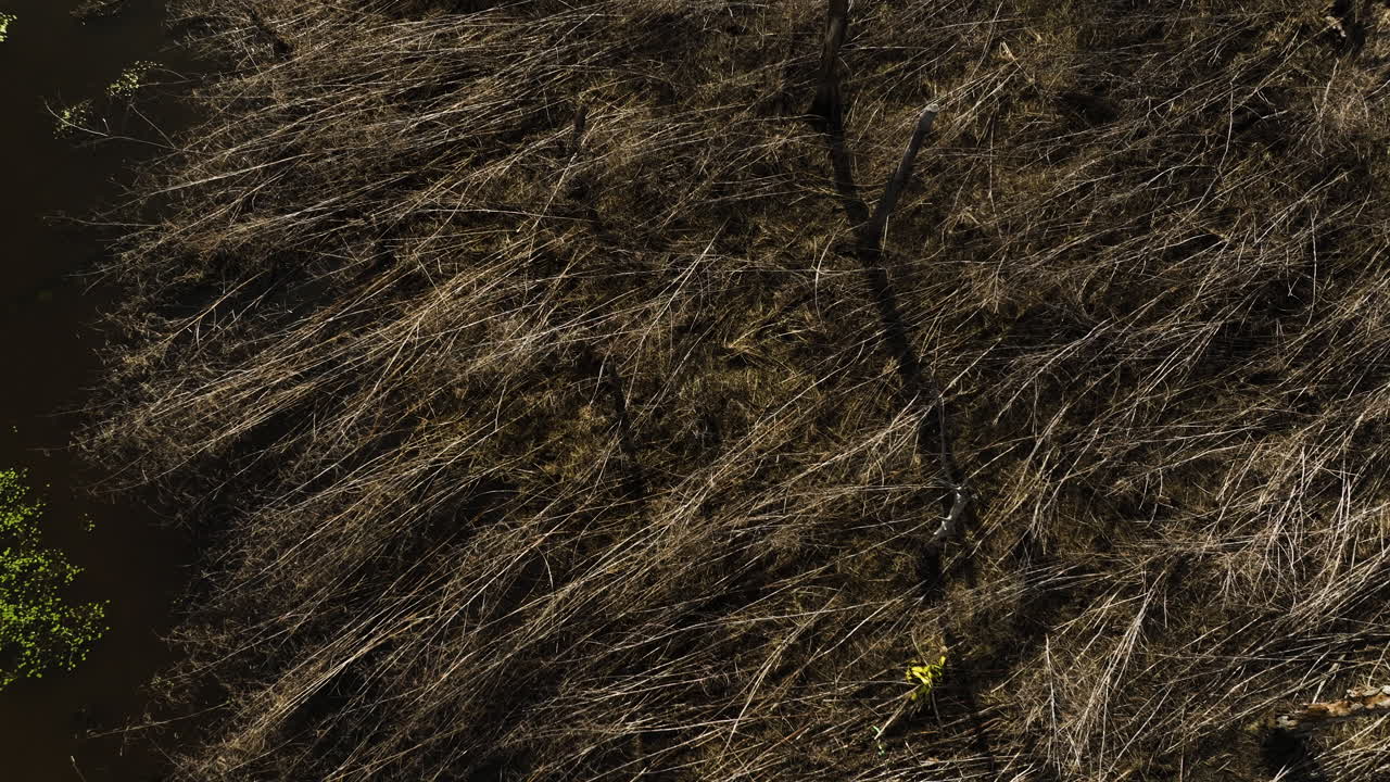 밀집된, 건조한 풀은 야생동물 지역을 제거합니다. 블랙웰, ar, 공중에서 볼 수 있습니다.