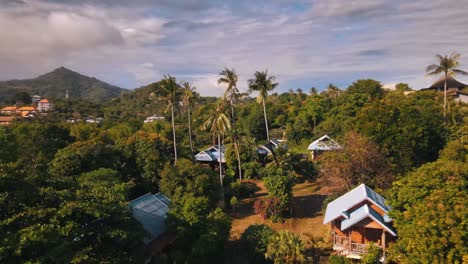 Several-tourist-houses-between-the-tall-palm-trees-and-other-nature-on-the-Thai-island-of-Phiphi-on-a-sunny-day