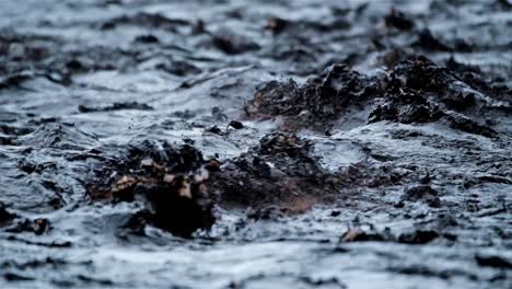 black, muddy, turbulent water flows down a river violently after heavy rain fall