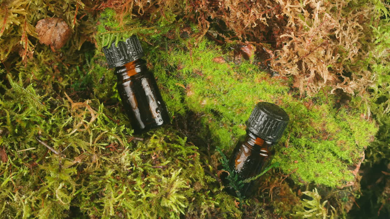 Bottle of cosmetics cream serum on moss forest background green leaves. Woman Make up healthy natural products.