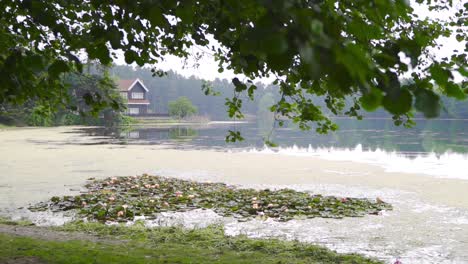 Lake-view-and-lotus-flowers-in-slow-motion.