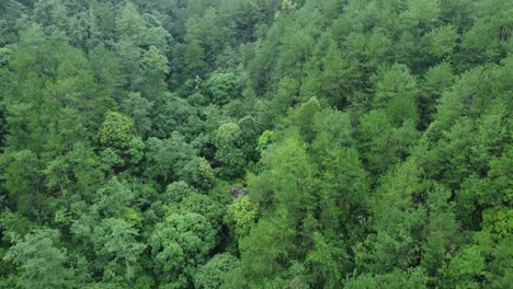 drone video of meghalaya's natural beauty.