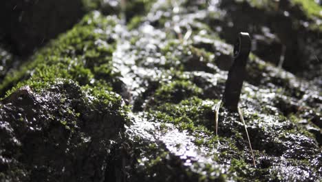 Slow-motion-view-of-water-running-over-rocks-in---Handheld-Steady-Shot